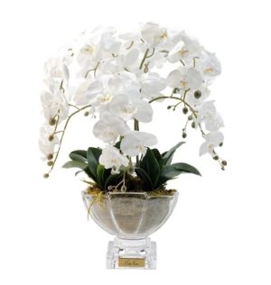 COTE NOIRE LUXURY ORCHID CENTREPIECE BOUQUET - WHITE & GOLD BADGE